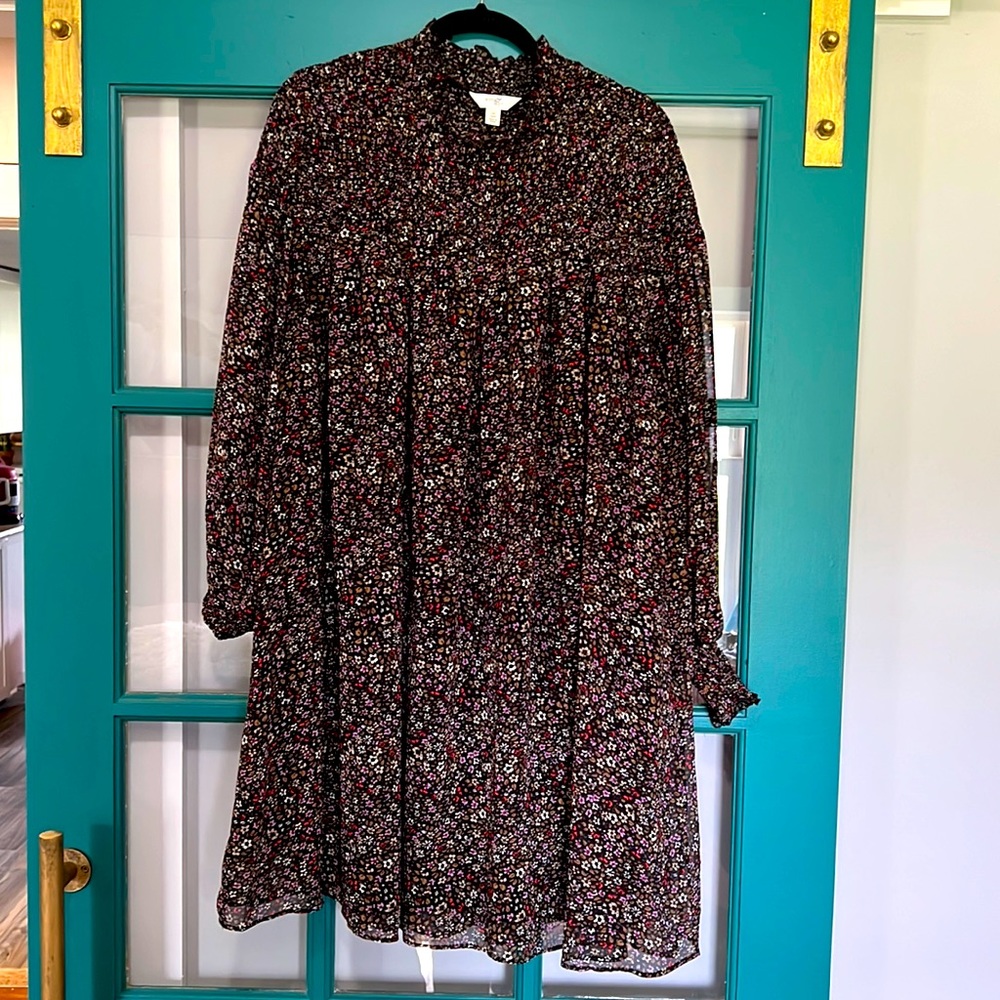 EUC Terra & Sky Chiffon lined Dress 0X